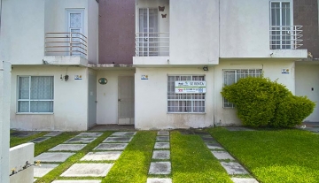 SEBASTOPOL I 17 5.jpg